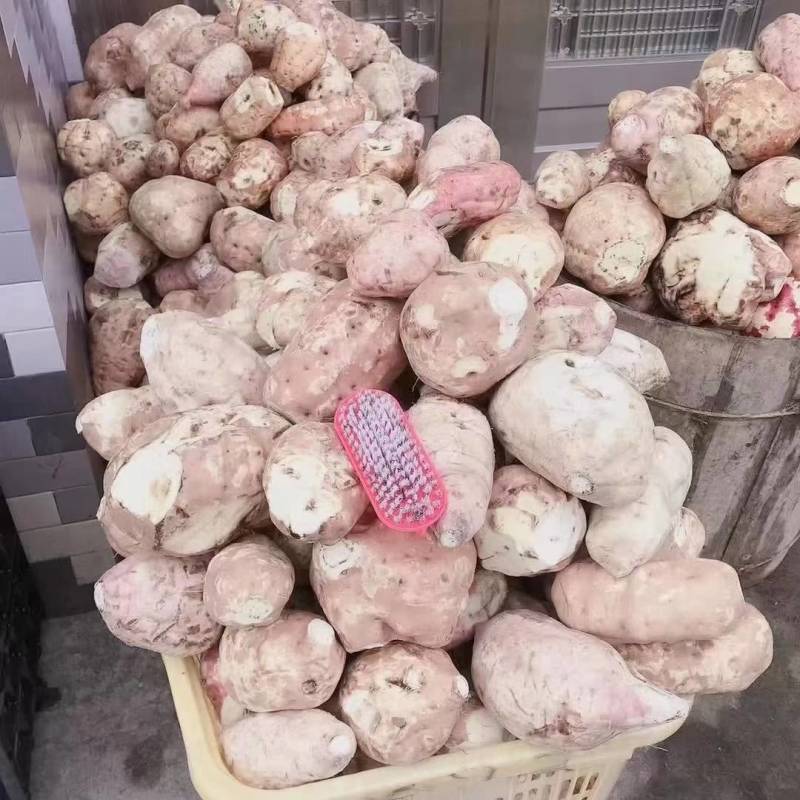 红薯淀粉湖南邵阳特产纯手工自家食用少量出