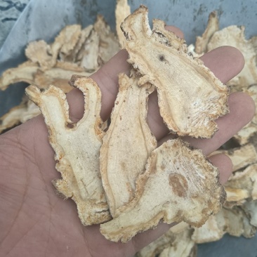 当归当归头片无碎无硫纯头片