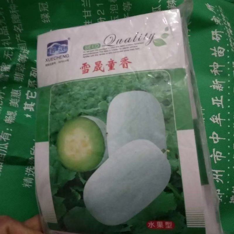 水果冬瓜苗，有种子有苗，产量高，果型好，耐运输