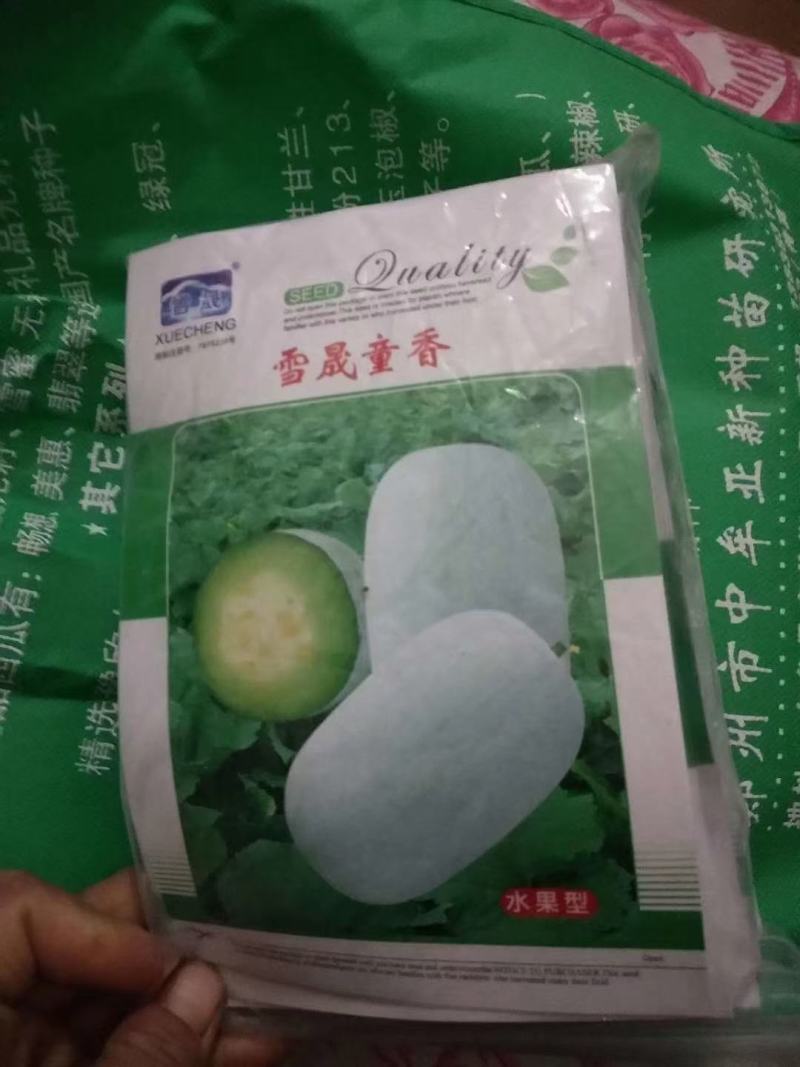 水果冬瓜苗，有种子有苗，产量高，果型好，耐运输