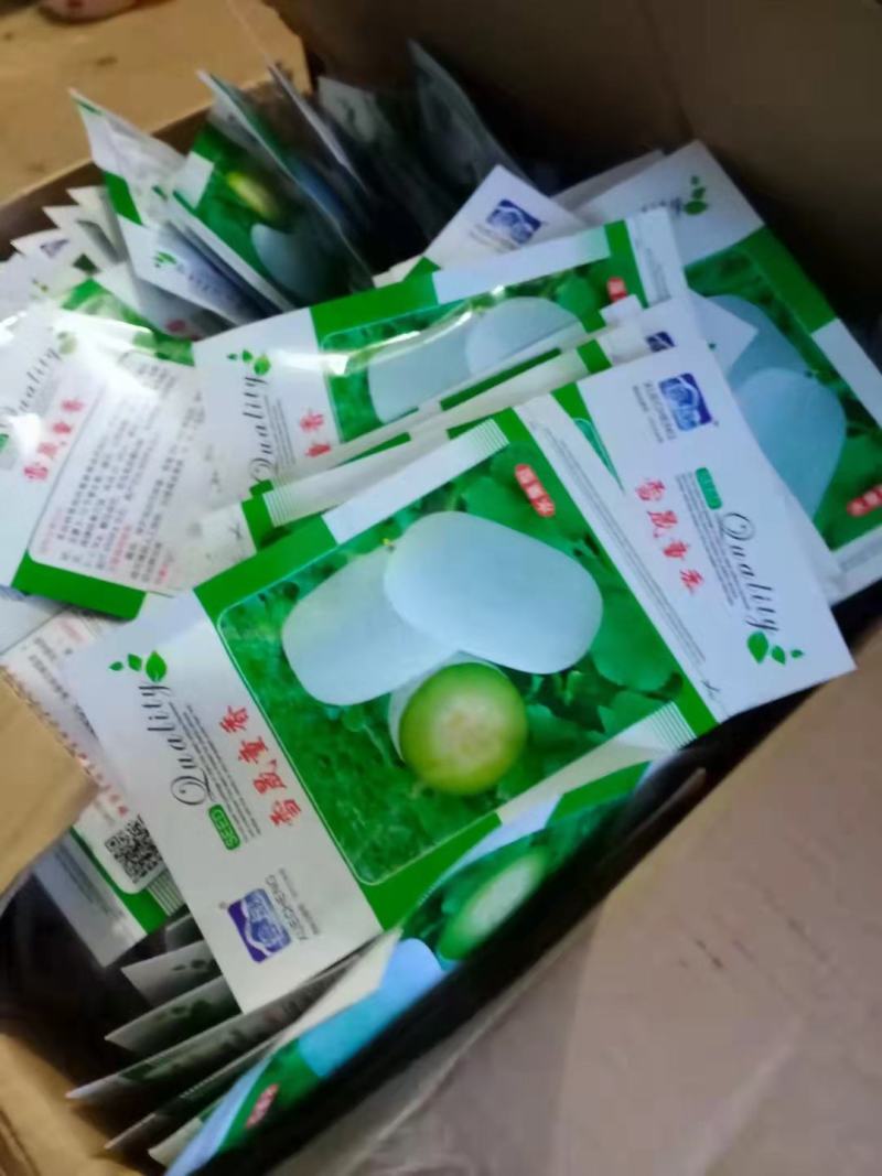 水果冬瓜苗，有种子有苗，产量高，果型好，耐运输