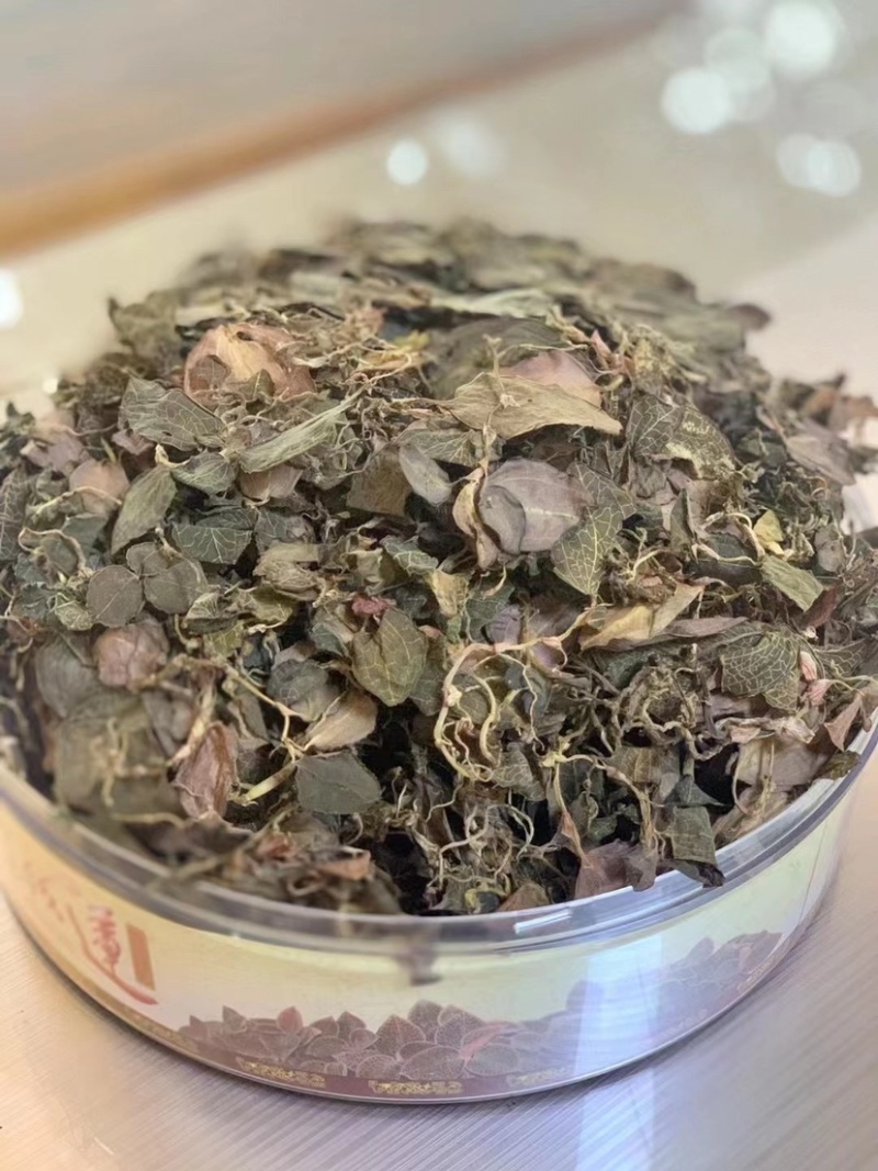 金线莲野草大量上市实图实价，欢迎各地老板咨询订购！！！