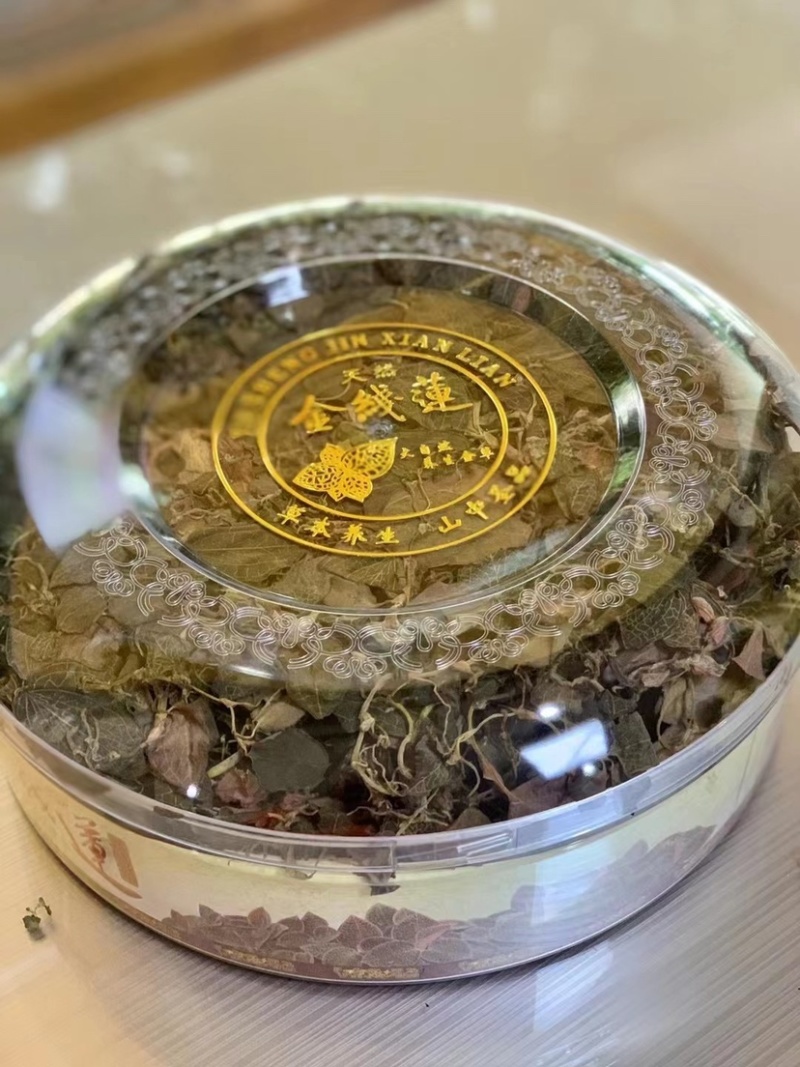 金线莲野草大量上市实图实价，欢迎各地老板咨询订购！！！