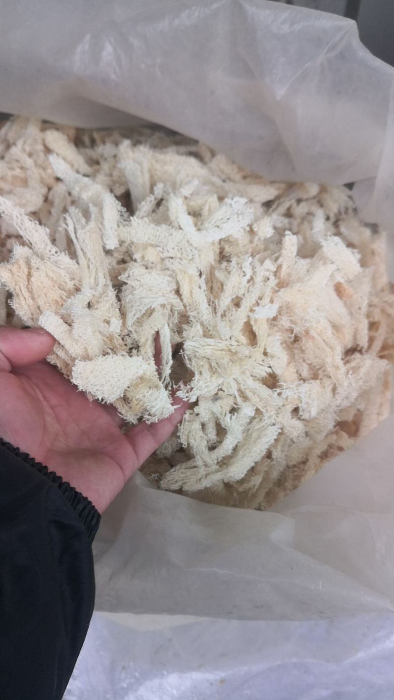 丝瓜络药用保证正品无硫不满意可退换货