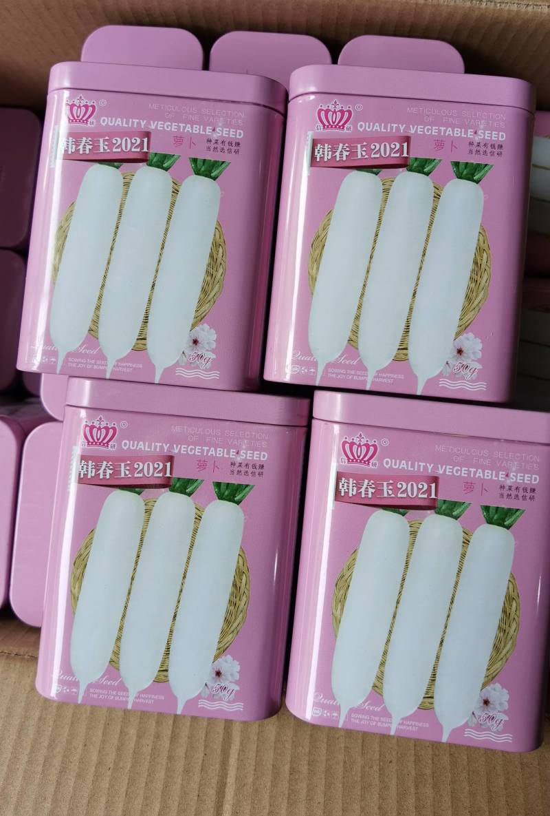 早春白玉萝卜种子韩国白玉春耐抽苔耐低温萝卜种子