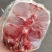 鳄鱼肉