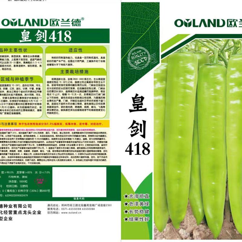 长年销售各种辣椒苗子，螺丝椒，线椒，青黄皮，都有苗子
