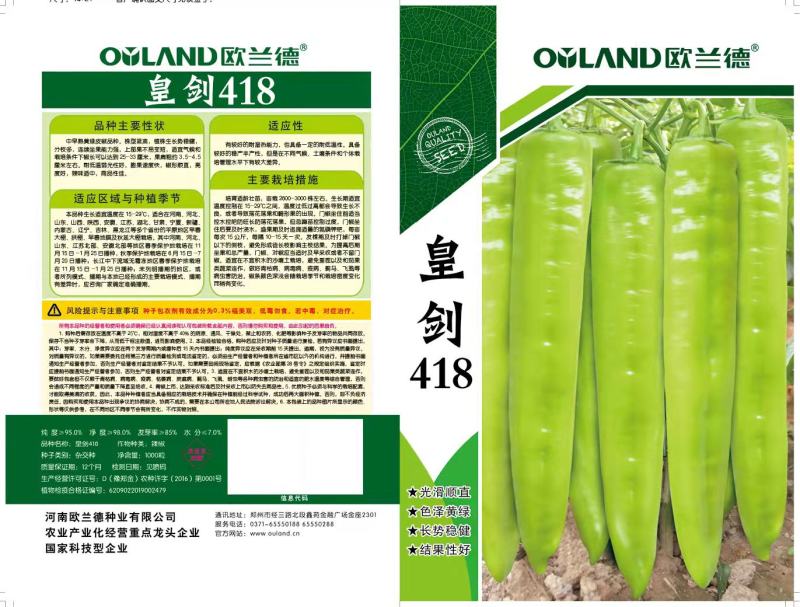 长年销售各种辣椒苗子，螺丝椒，线椒，青黄皮，都有苗子