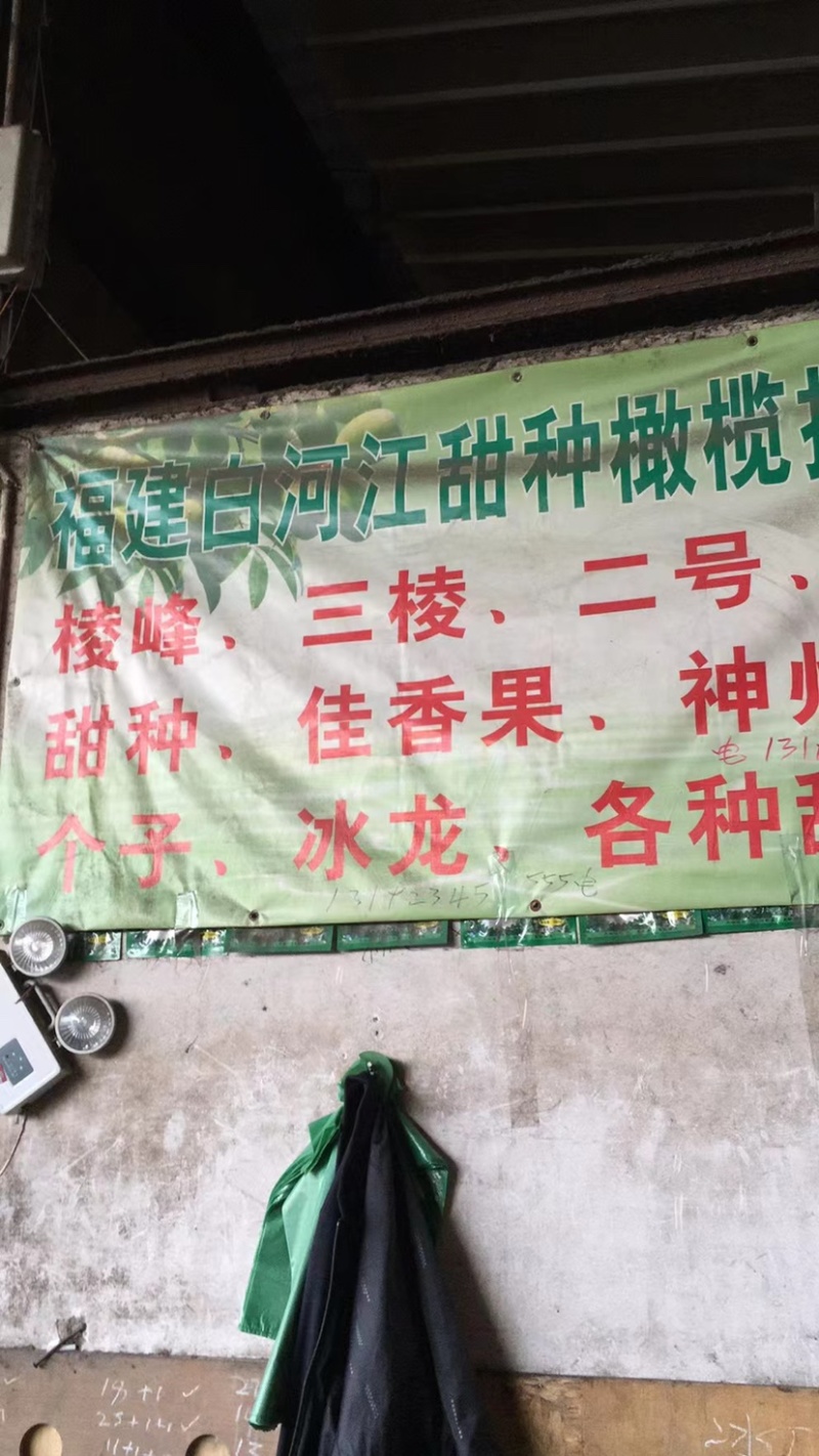 【精选】福建白河江橄榄产地直供精选好货长期供货