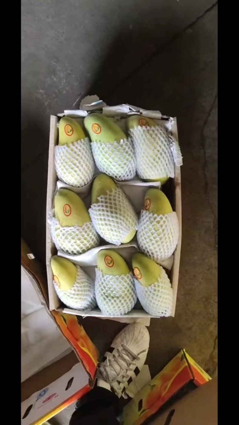 【精选】广东芒果商场品质量大优惠可视频看货