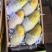 【精选】广东芒果商场品质量大优惠可视频看货