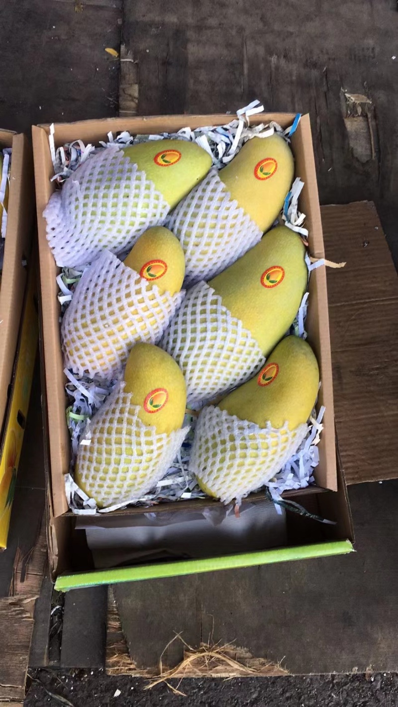 【精选】广东芒果商场品质量大优惠可视频看货