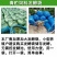 青贮玉米秸秆草料青储饲料发酵袋加厚牛羊加大豆渣牧草酒糟塑