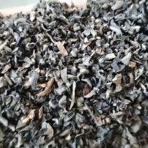 东北碎木耳