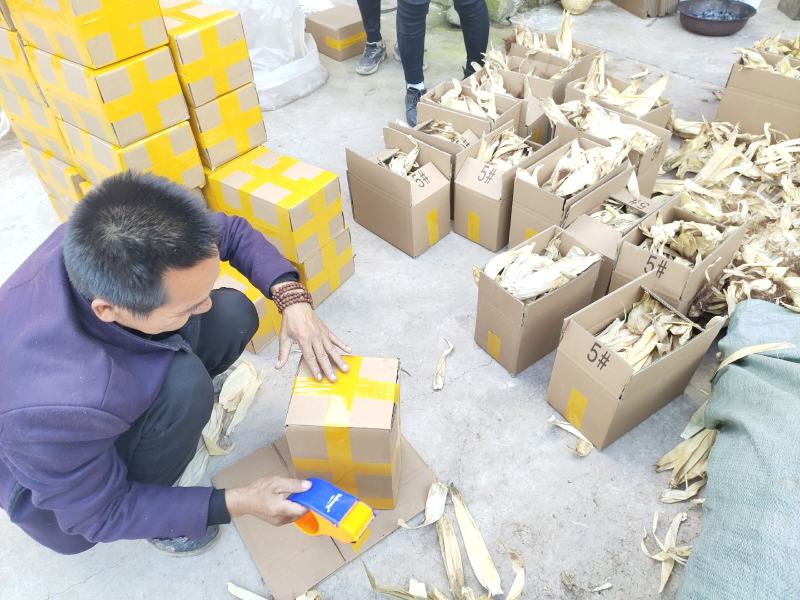 槟榔芋在大理的表现是这样的，年后可以大量供货，有需要的联