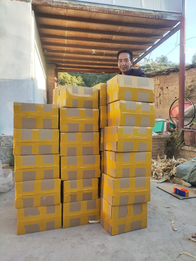 槟榔芋在大理的表现是这样的，年后可以大量供货，有需要的联