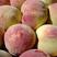 【云南】甜脆桃粉色肉大量上市产地直发可整车物流快递发货