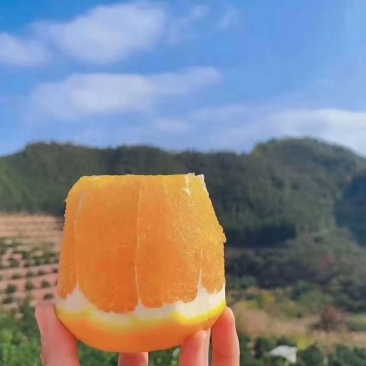 正宗赣南脐橙特级果（80-95MM）新鲜橙子