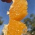 正宗赣南脐橙特级果（80-95MM）新鲜橙子