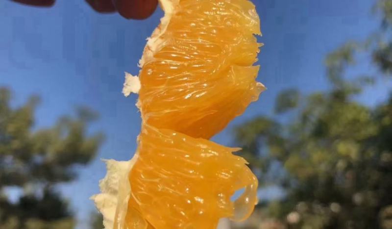 正宗赣南脐橙特级果（80-95MM）新鲜橙子
