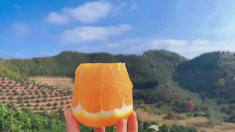 正宗赣南脐橙特级果（80-95MM）新鲜橙子