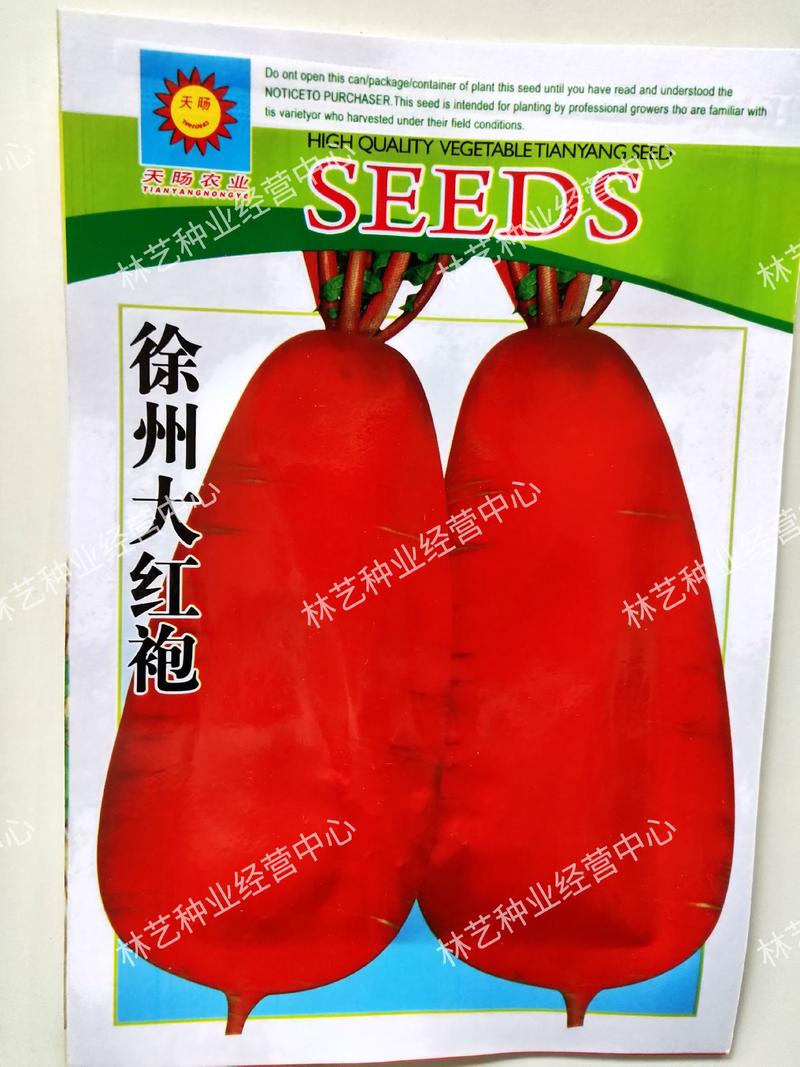 徐州大红袍萝卜种子高产抗病耐热耐贮运甜脆多汁秋播优质萝卜