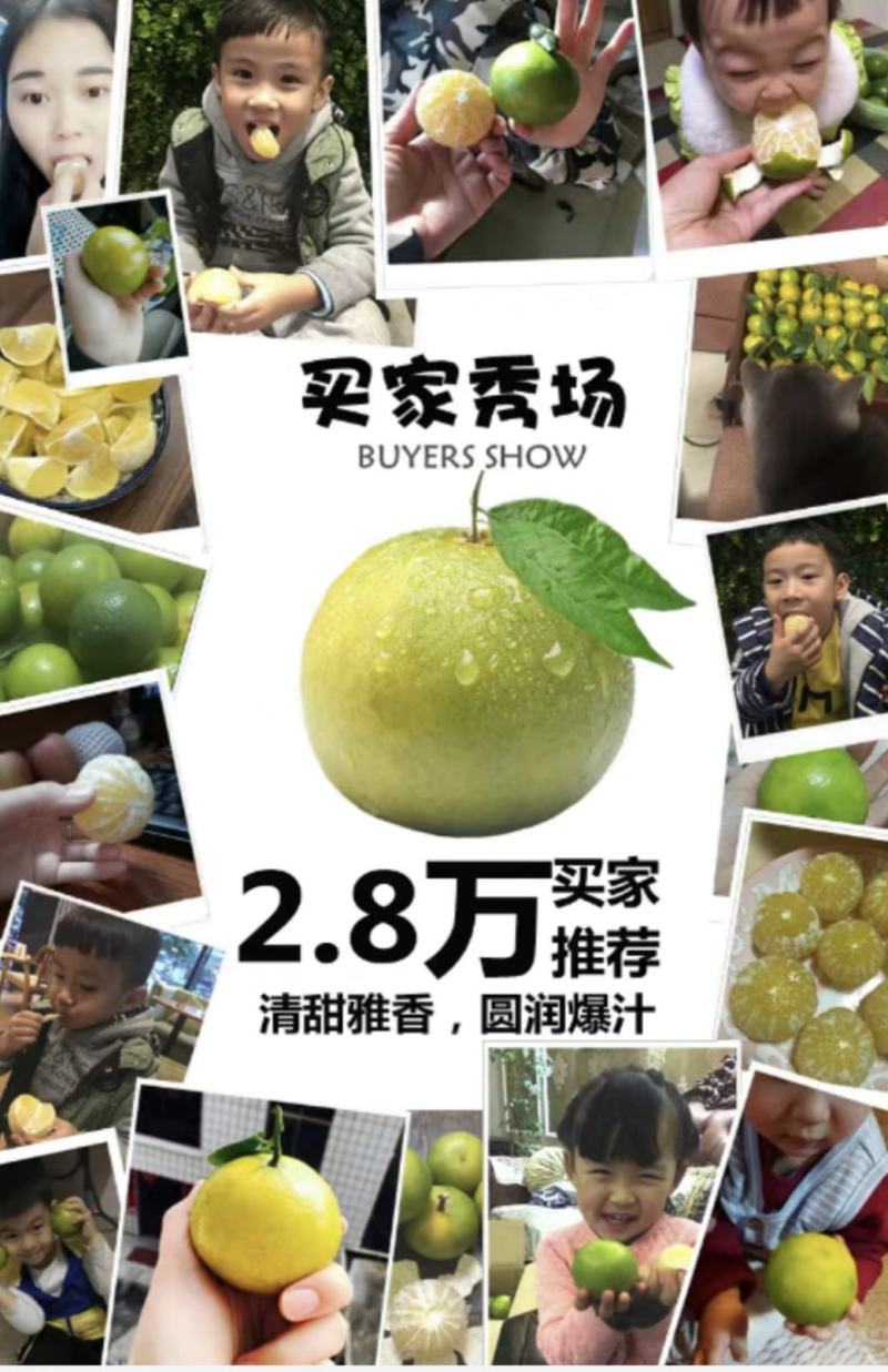 【包邮】广西武鸣皇帝柑，原产地现摘现发，一件代发