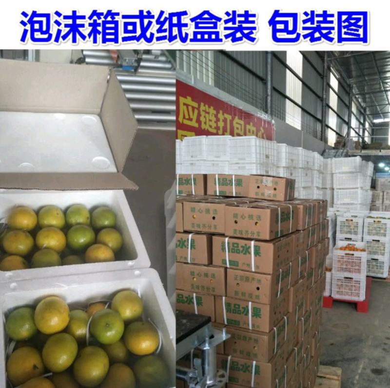 【包邮】广西武鸣皇帝柑，原产地现摘现发，一件代发