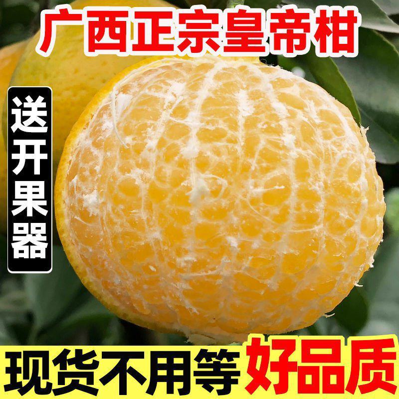 【包邮】广西武鸣皇帝柑，原产地现摘现发，一件代发