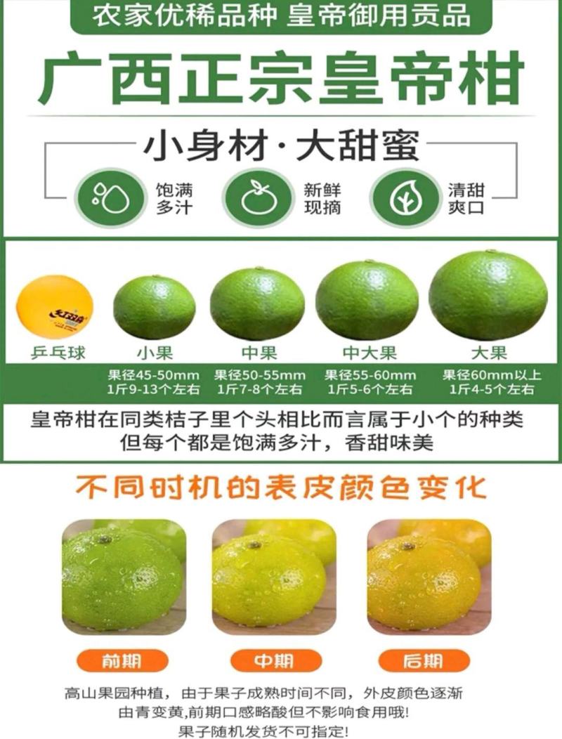 【包邮】广西武鸣皇帝柑，原产地现摘现发，一件代发