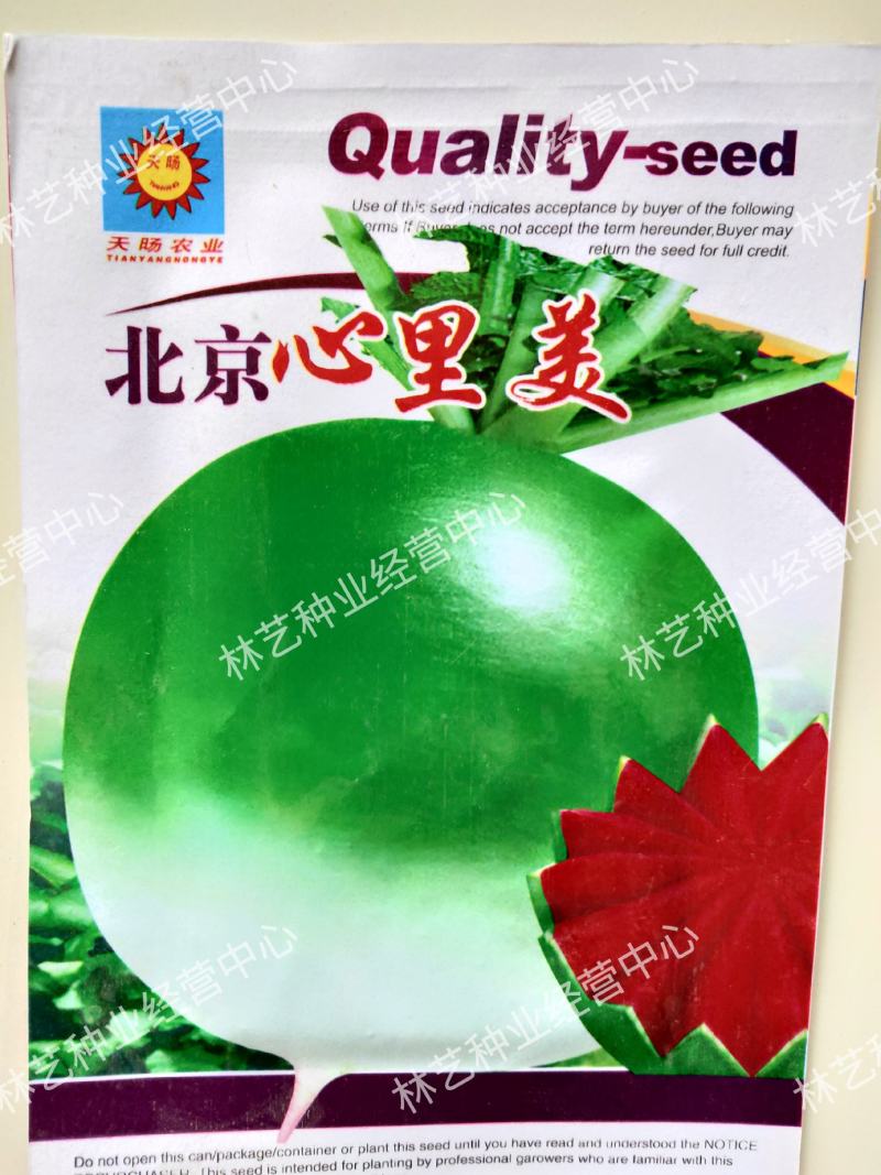 心里美萝卜种子北京杂交满堂红萝卜种子批发水果萝卜