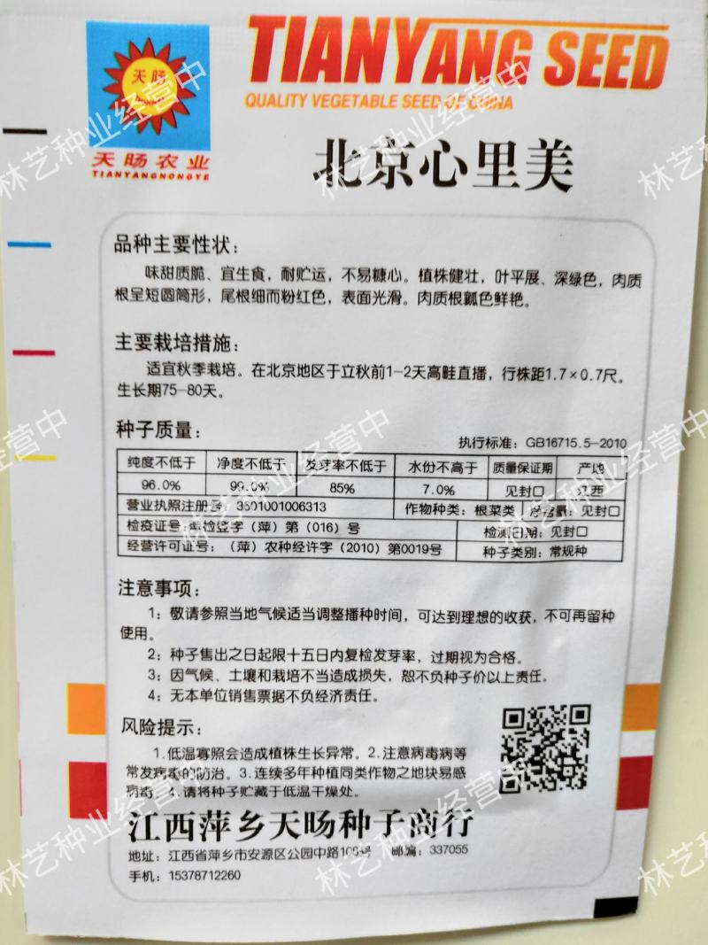 心里美萝卜种子北京杂交满堂红萝卜种子批发水果萝卜