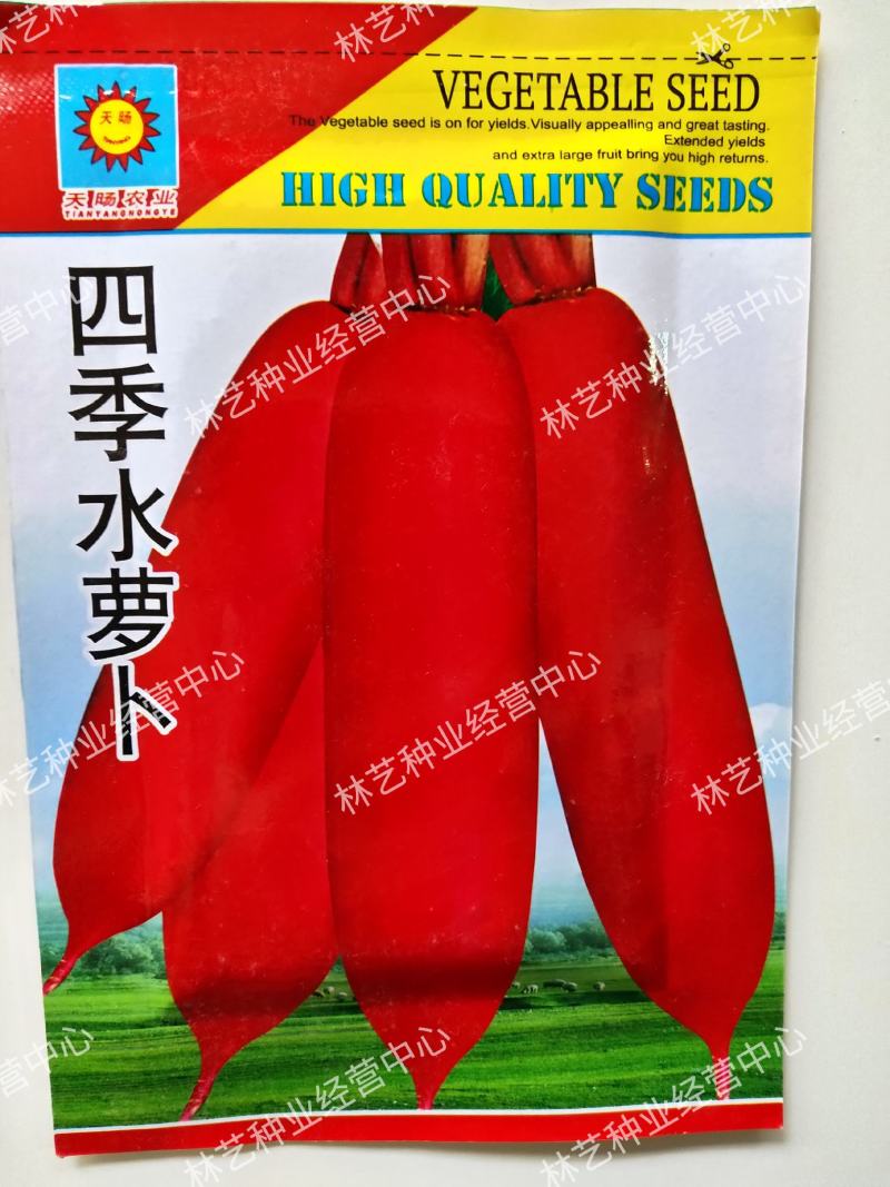 四季水果萝卜种子红皮红肉萝卜春秋冬四季播种萝卜籽水果蔬菜