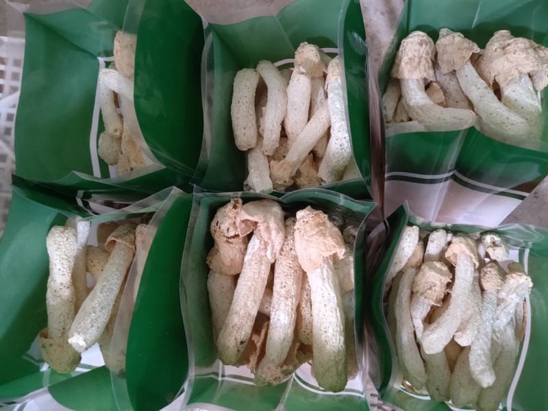 福建古田无硫竹荪蛋毛重半斤特惠装长期供货