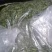 脱水干豆角青颗粒干豆角段清豆角段豆角米