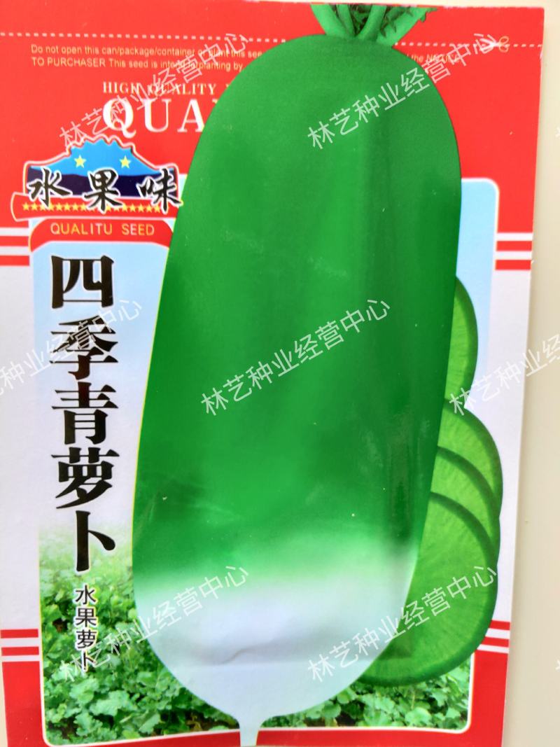 蔬菜种子水果青萝卜种籽甜脆里外青水果萝卜种籽沙窝萝卜