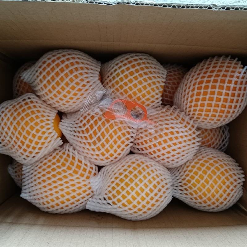 通货江西【精品】赣南脐橙十件起发货欢迎