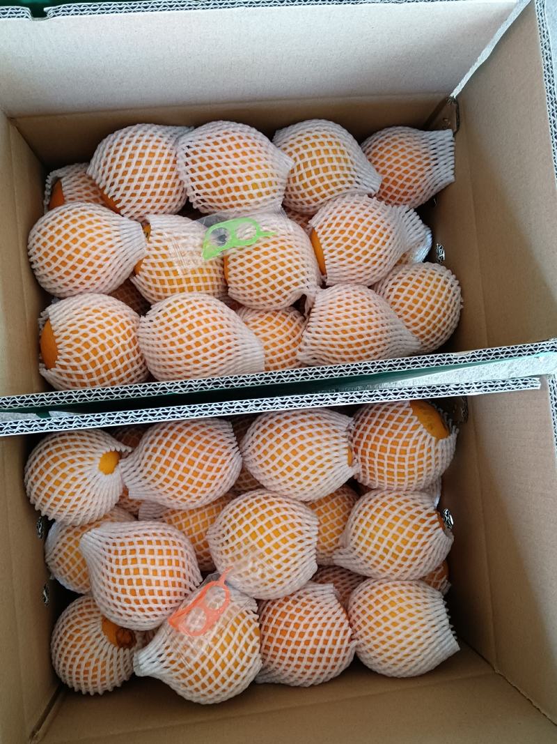 通货江西【精品】赣南脐橙十件起发货欢迎