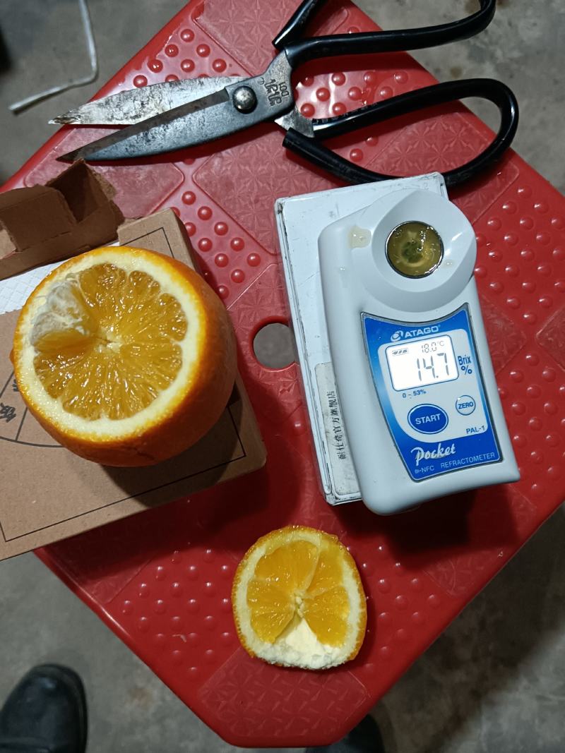 通货江西【精品】赣南脐橙十件起发货欢迎