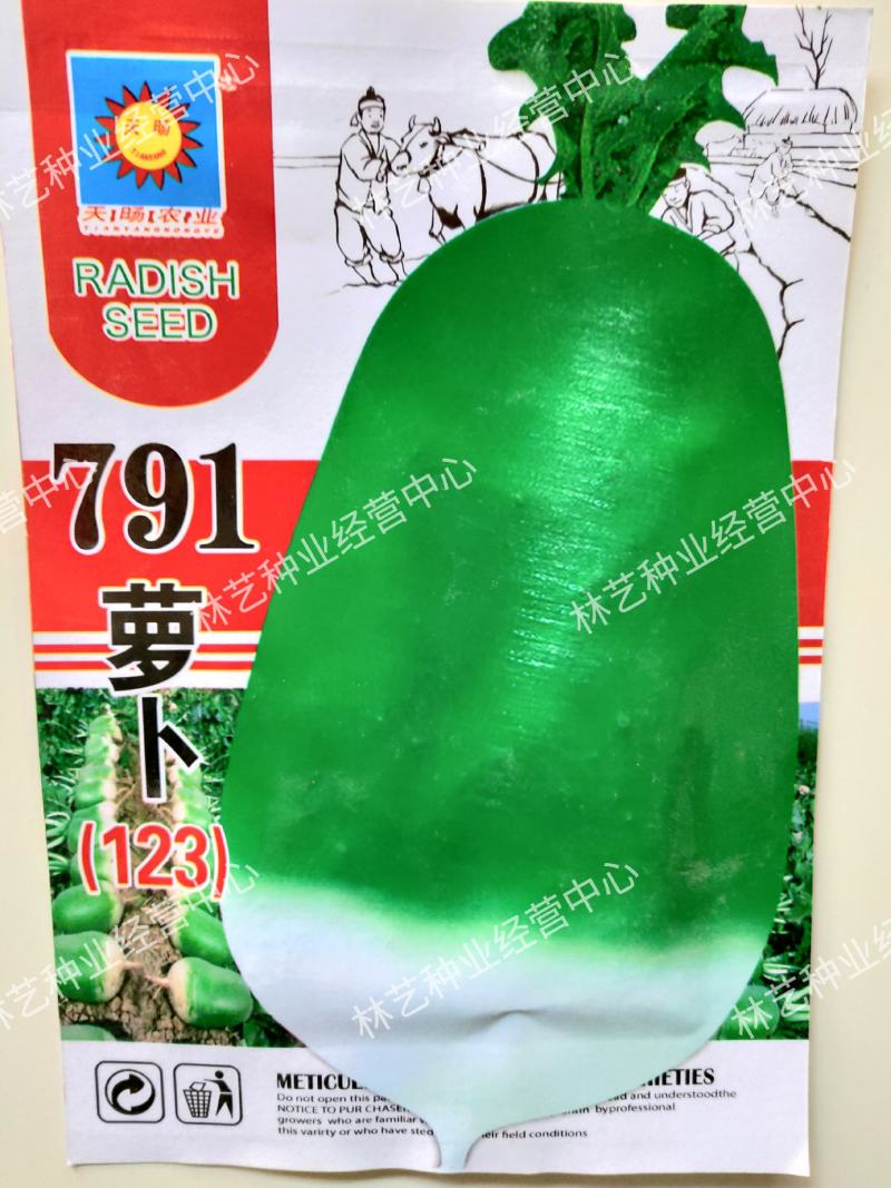 791萝卜种子天津沙窝萝卜种籽里外青水果青萝卜籽种