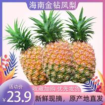 海南金砖17号凤梨菠萝新鲜酸甜水果原产地直发5斤包邮