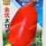 金优大红袍萝卜种子红罗卜种籽甜脆皮红肉白高产耐寒