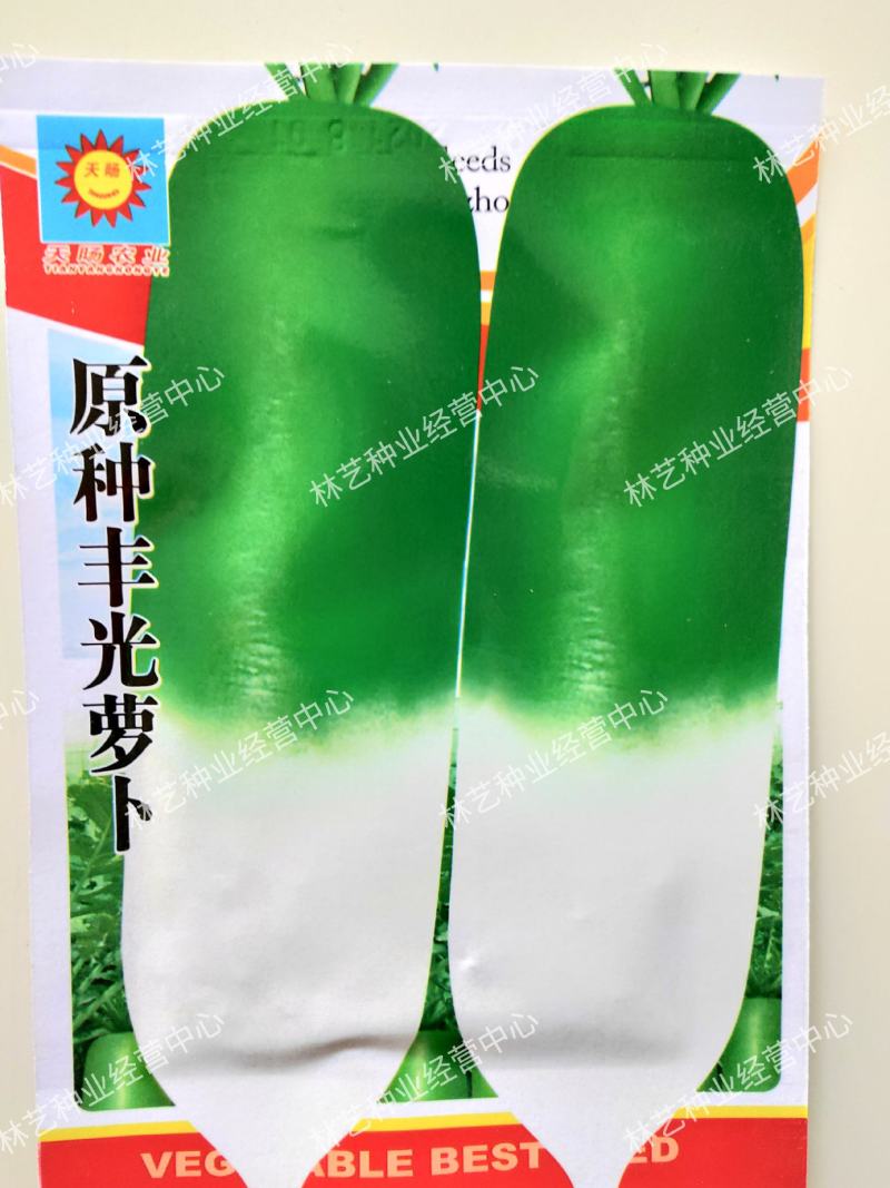 【丰光萝卜种子】四季播高产半白半青生吃白瓤水果萝卜种子