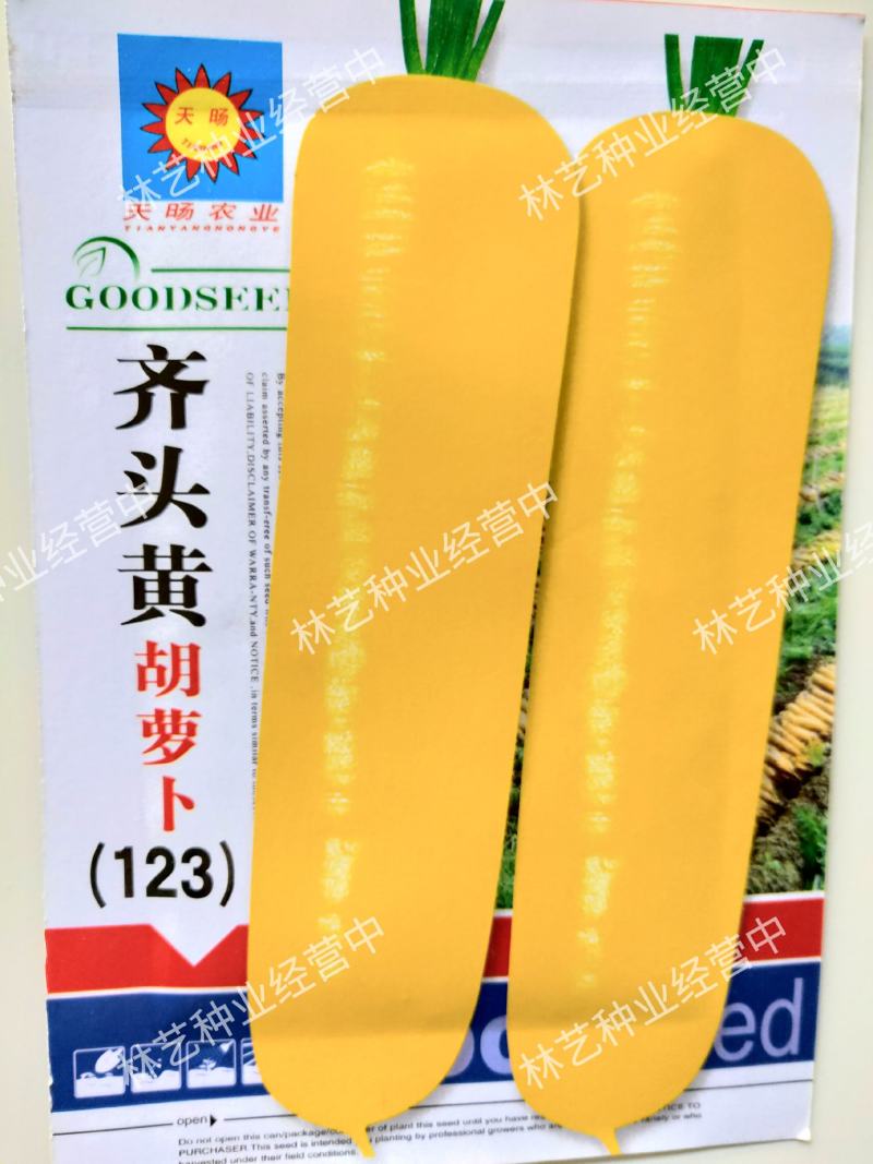 水果型齐头黄胡萝卜种子西洋黄参胡萝卜籽春秋冬播种蔬菜种孑