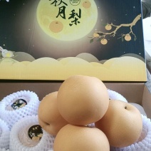 秋月梨，品质好，含糖量高，供社区水果团购，电商快递，超市
