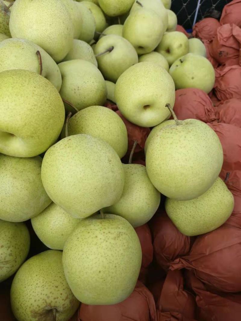 秋月梨，品质好，含糖量高，供社区水果团购，电商快递，超市