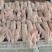兔肉正常供应量大从优规格齐全质量有保障欢迎采购