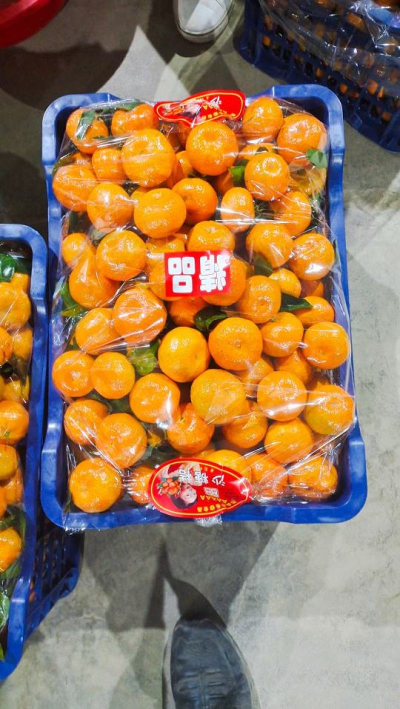 砂糖橘，果面干净，起沙，口感好，