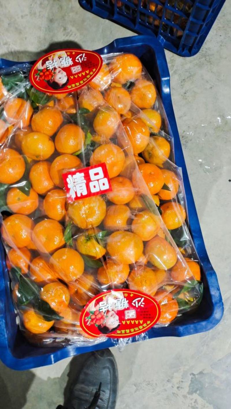 砂糖橘，果面干净，起沙，口感好，
