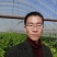 家林葡萄苗木繁育基地2021秋季一2022年春季葡萄苗木